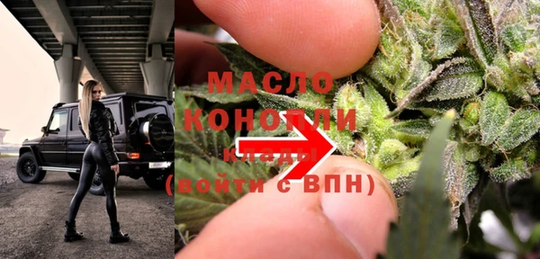 гидра Зеленодольск