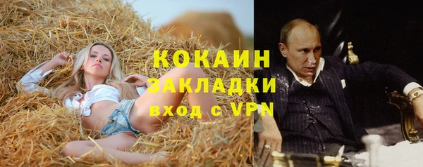 гидра Зеленодольск